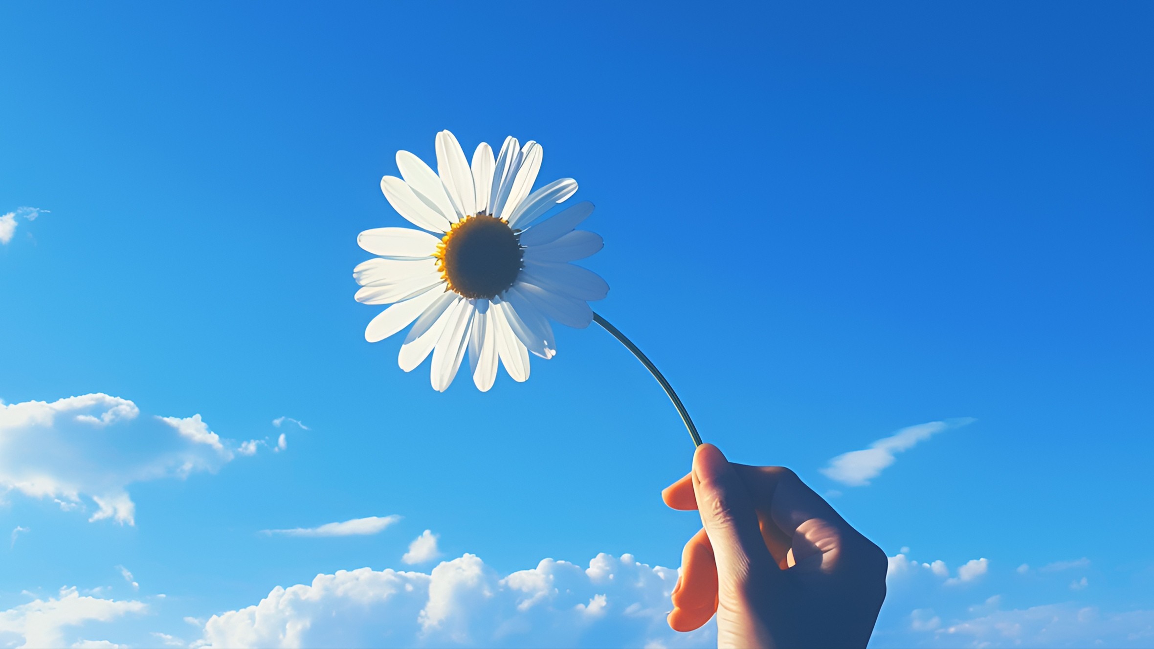 pandas对数据预处理方法