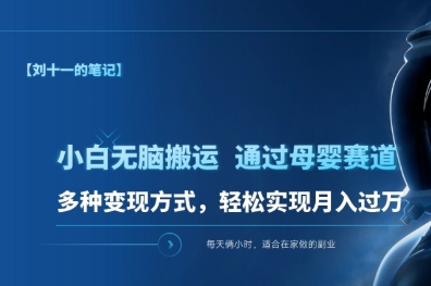 小白无脑搬运，通过母婴赛道，多种变现方式，轻松实现月入过万-富翁研习社