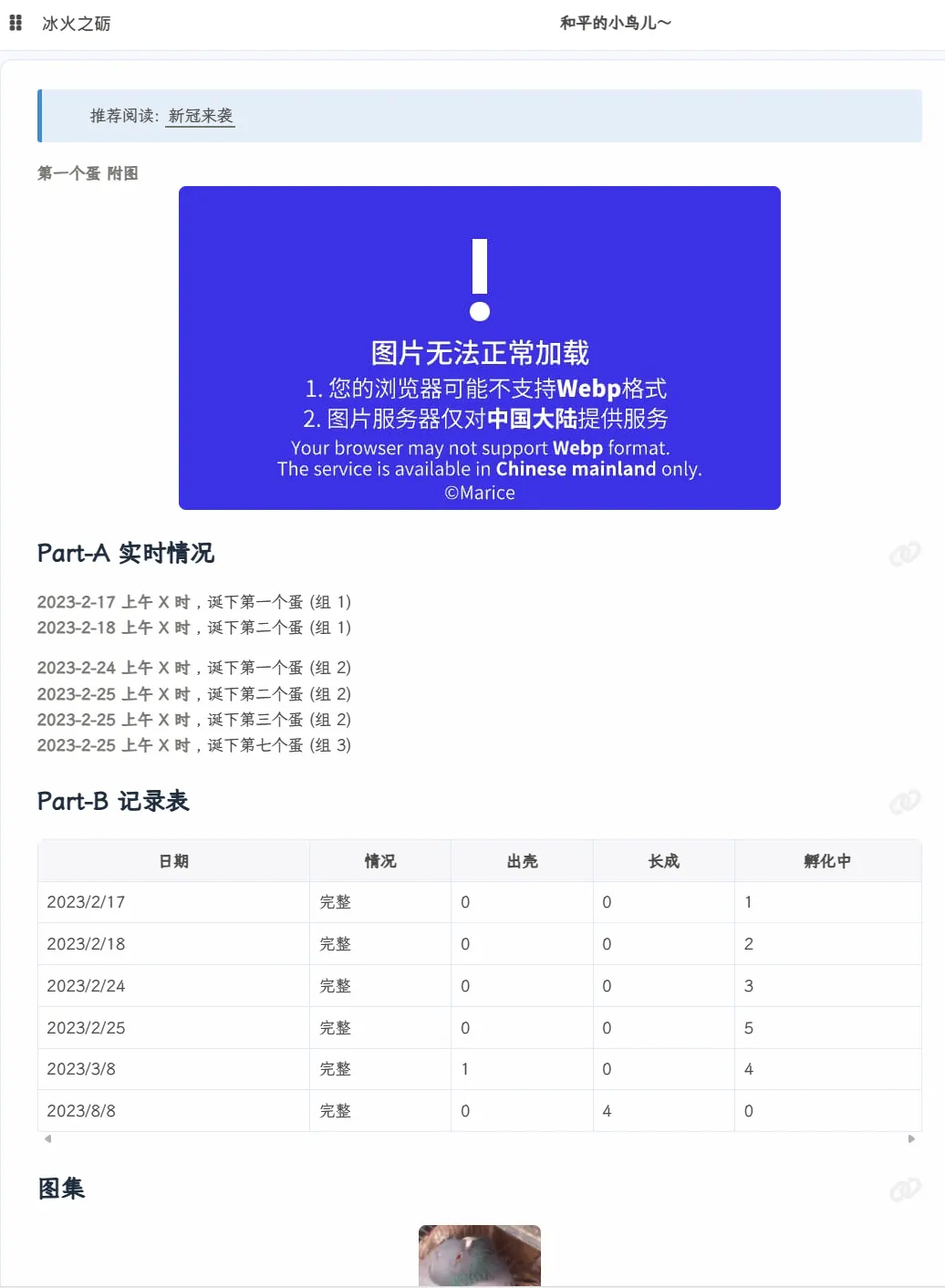 之前的样子