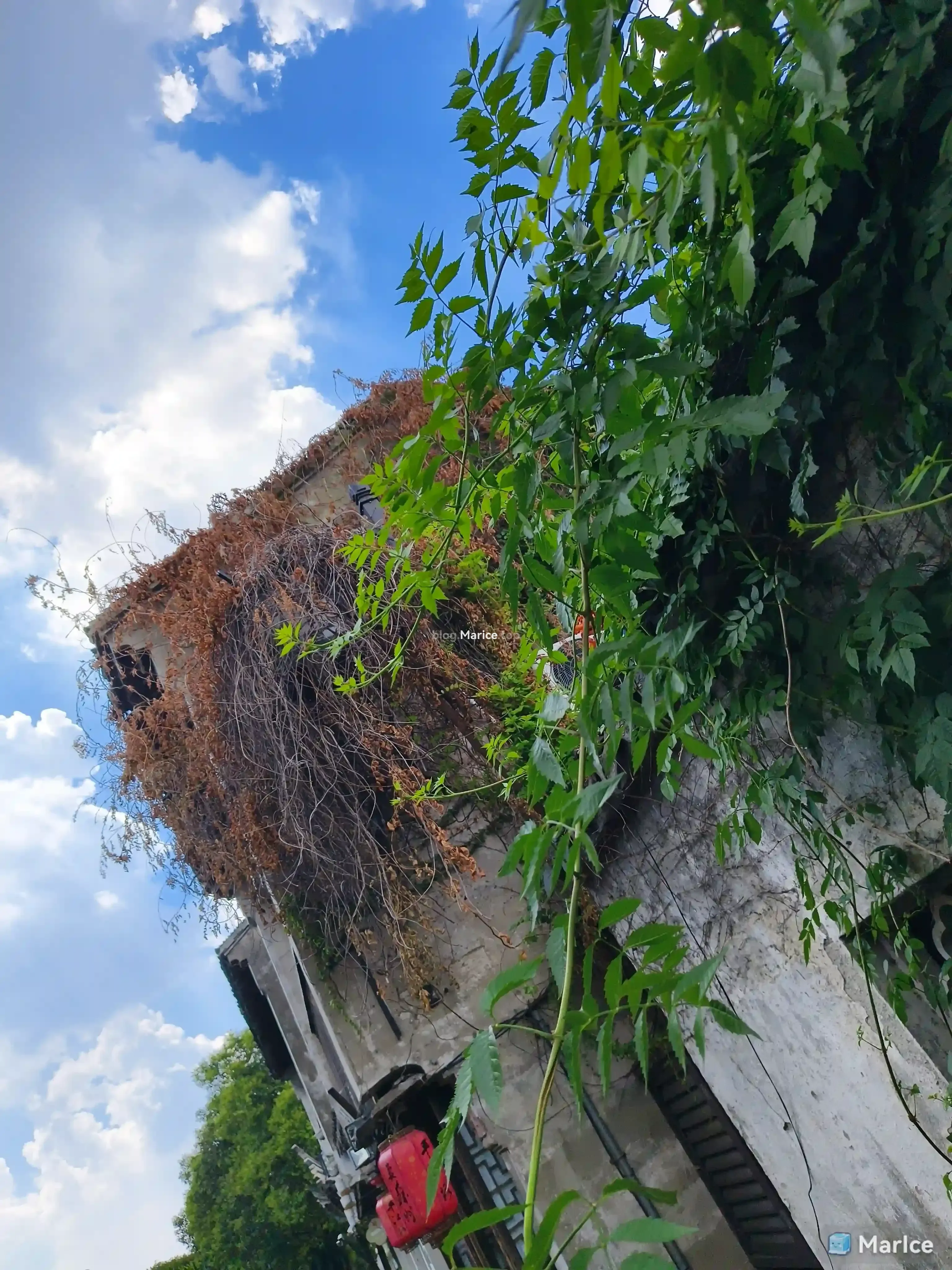 姑苏文旅_21_55_34.webp
