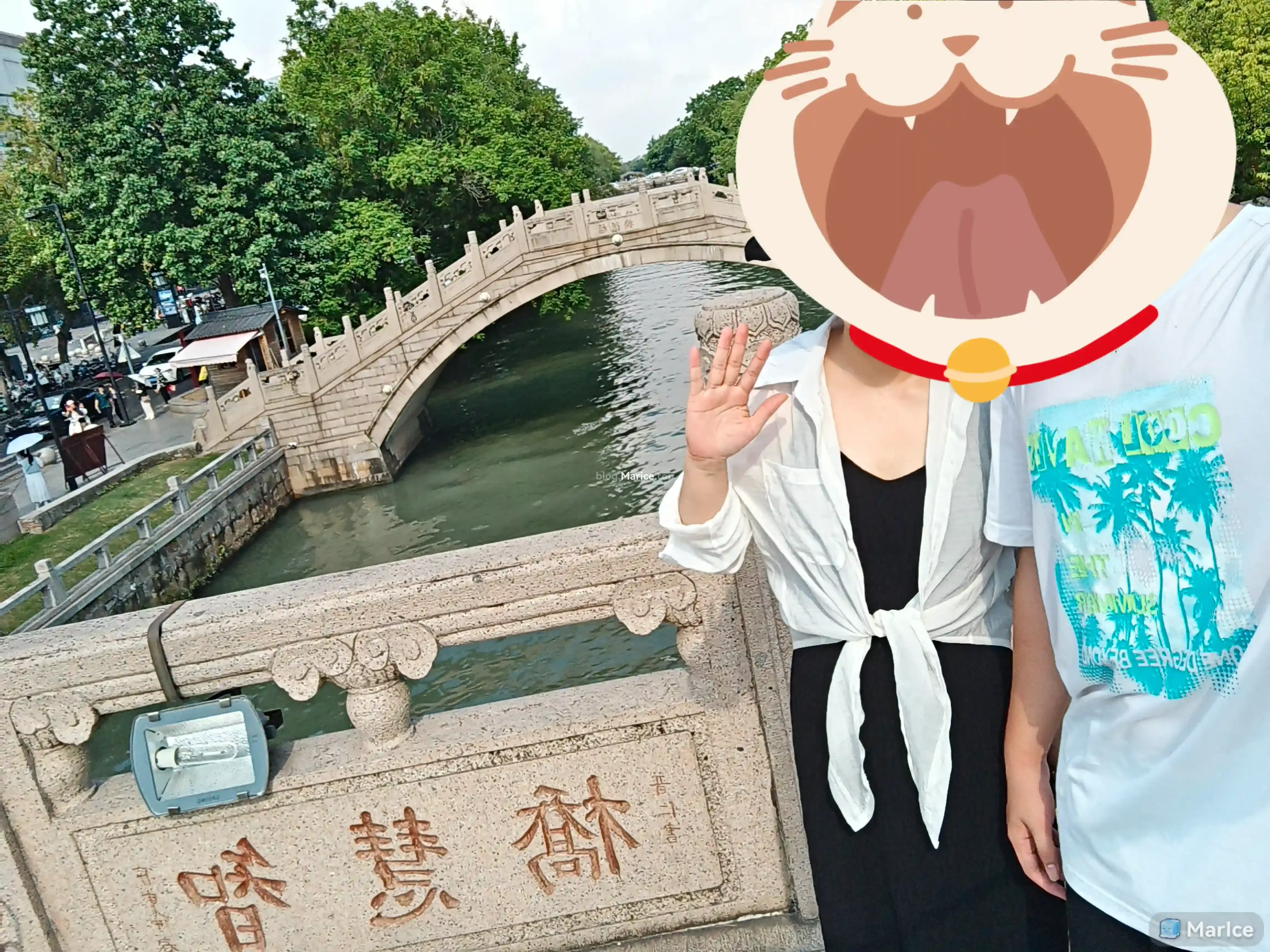 10%-智慧桥.webp