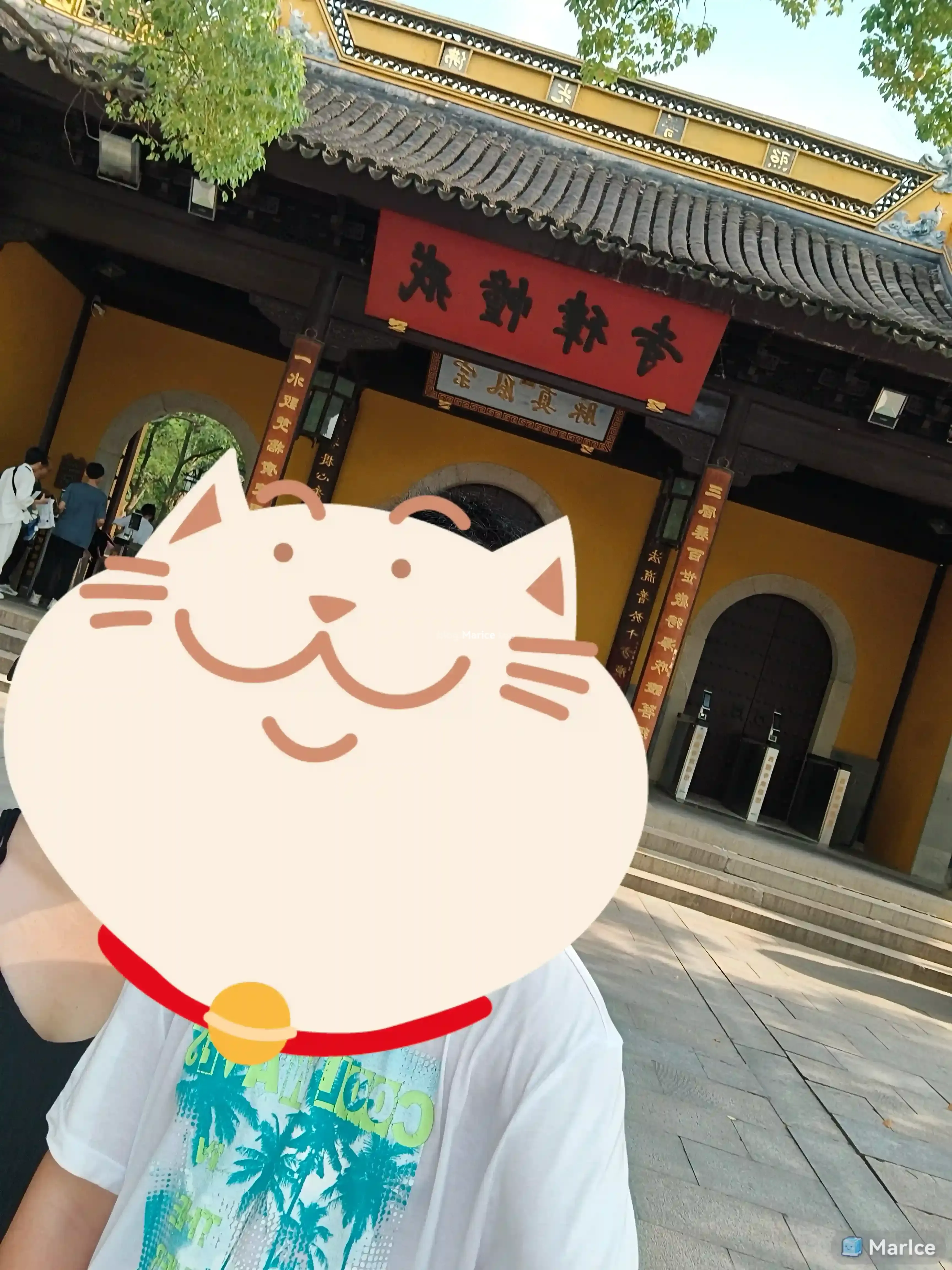 10%-西园寺.webp