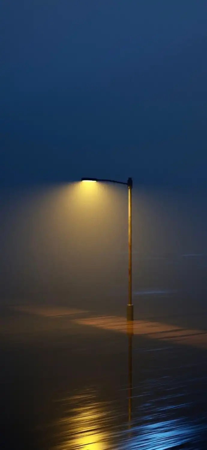 675d47eac5f79.png