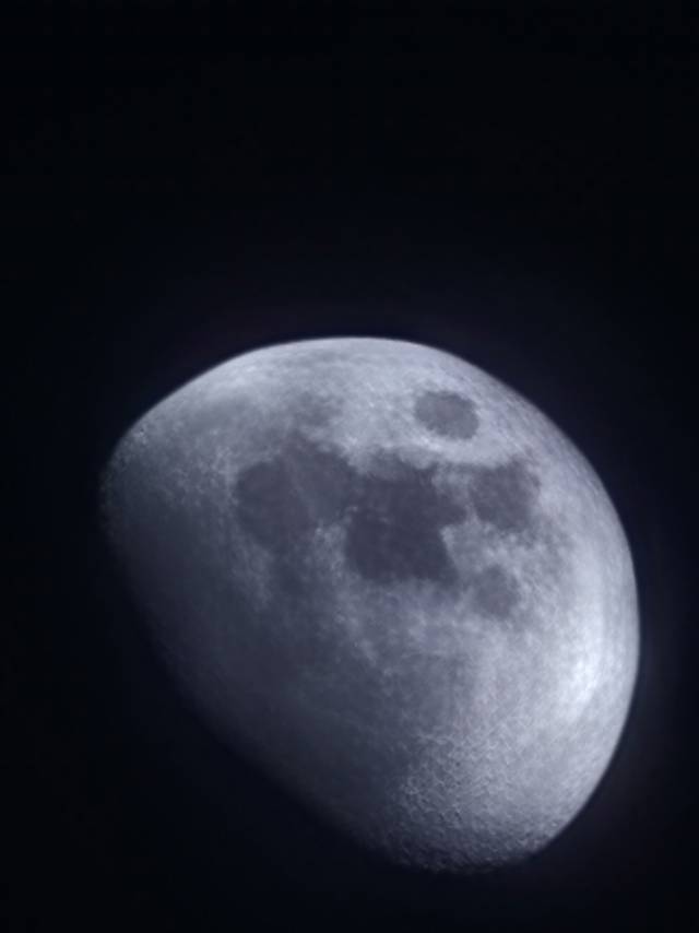 6824510c5dc52.jpg