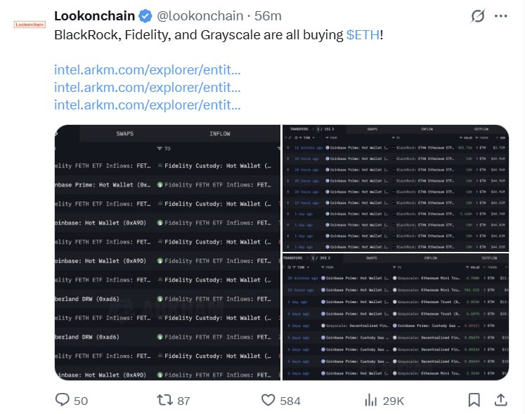 689cc4b483c41.jpg