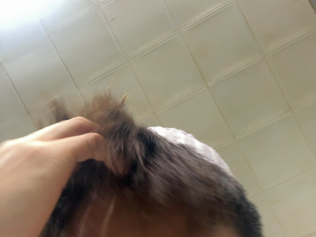 6a185acd15977.png