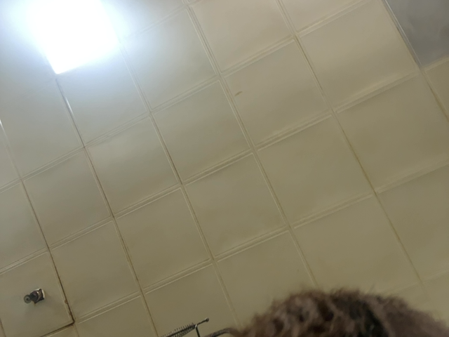 6a185d24213d9.png